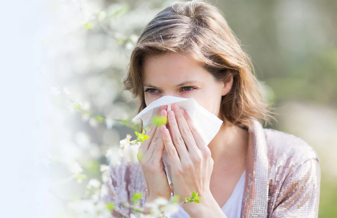 Hayfever & Allergy Relief