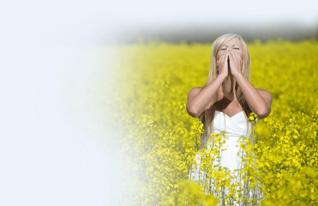 Hayfever & Allergies